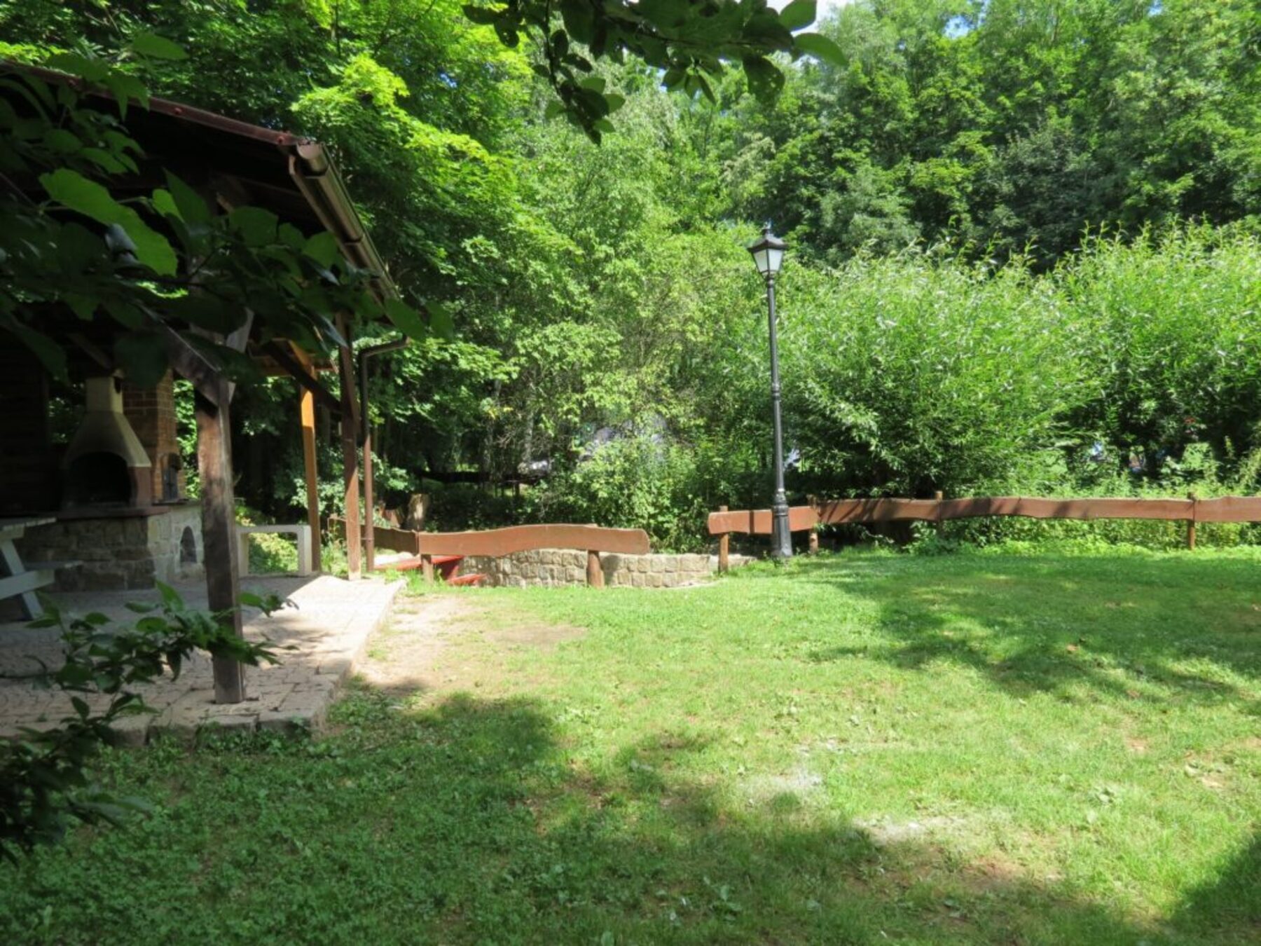Polana z trawą, świerk, brzoza, słoneczko — Camping Pod Lasem